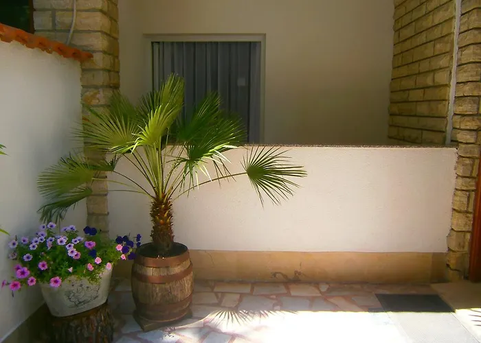 Guest house Pansion Rade 3*